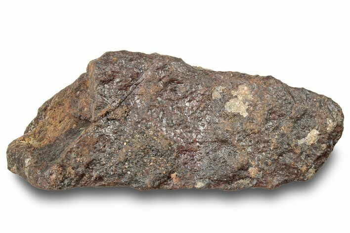 Chondrite Meteorite ( g) - Western Sahara Desert #247499